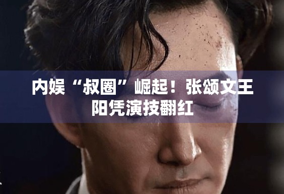 内娱“叔圈”崛起!张颂文王阳凭演技翻红 内娱“叔圈”崛起!张颂文王阳凭演技翻红