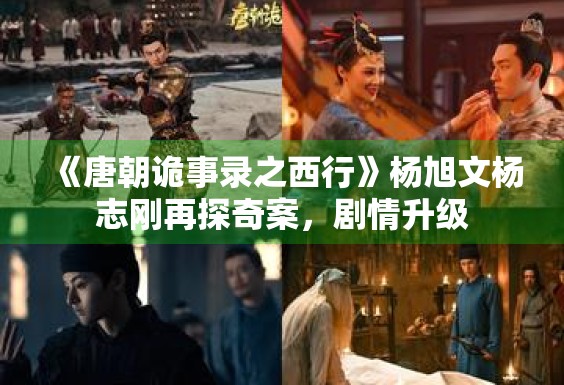 《唐朝诡事录之西行》杨旭文杨志刚再探奇案，剧情升级