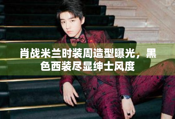 肖战米兰时装周造型曝光，黑色西装尽显绅士风度