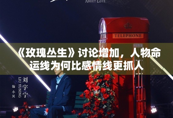 《玫瑰丛生》讨论增加,人物命运线为何比感情线更抓人 《玫瑰丛生》讨论增加,人物命运线为何比感情线更抓人