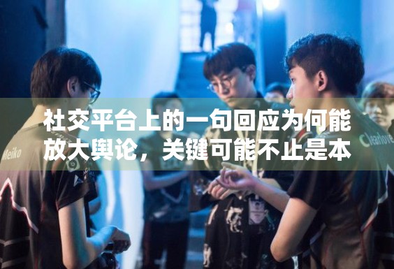 社交平台上的一句回应为何能放大舆论，关键可能不止是本人