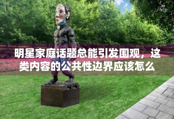 明星家庭话题总能引发围观，这类内容的公共性边界应该怎么写